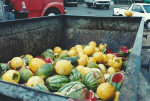 Foram observadas, ao todo, 152 unidades em 54 países. De acordo com o documento, o desperdício de alimentos é um problema global e não apenas de países desenvolvidos.