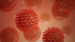 As investigações mostraram que as mulheres ativam as citocinas de forma intensa, mas não a ponto de causar danos aos órgãos. Além disso, apresentam um melhor controle da ativação de genes pró-inflamatórios, tais como o CXCL8 (e seus receptores CXCR1 e CXCR2) e a Interleucina-1β. Esses são considerados genes-chave das vias imunológicas.