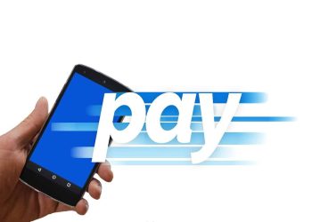 Desde novembro do ano passado, o PagTesouro permite pagamentos por meio do Pix, sistema de pagamentos instantâneos do Banco Central (BC).