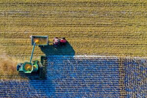 Equipamento agrícola em operação durante a colheita de grãos, representando o avanço da indústria de máquinas no agronegócio.