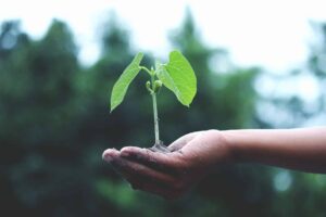 A ideia é debater a gestão integrada e sustentável de resíduos sólidos por meio da reciclagem, compostagem e recuperação energética, para o desenvolvimento de negócios.
