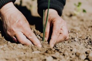 A chamada de casos faz parte do projeto Cinturão+Verde, uma iniciativa do FGVces com patrocínio da Citi Foundation, que tem por objetivo promover a adaptação à mudança do clima para agricultores familiares no Cinturão Verde de São Paulo.