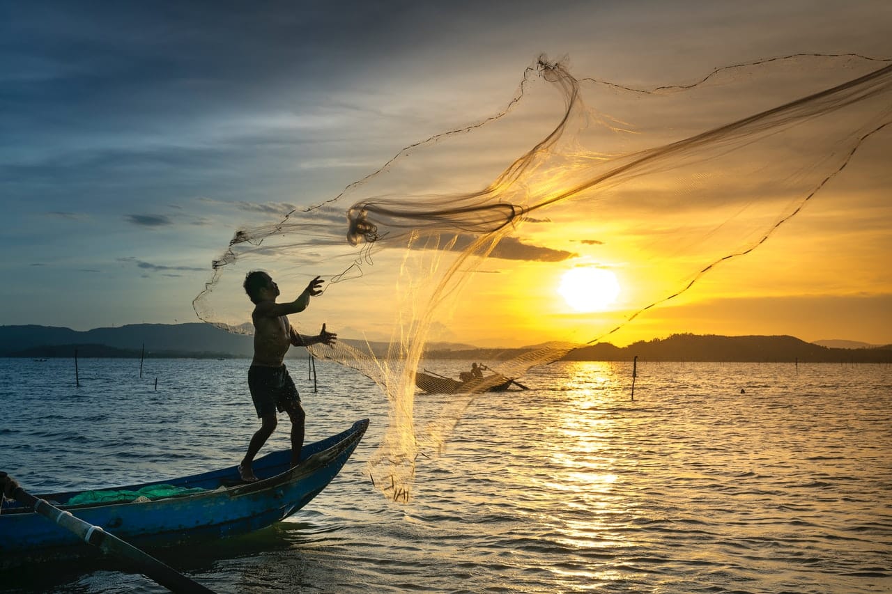 O Projeto Rastum promove o rastreamento da cadeia do atum, impactando digitalmente do pescador à comercialização de produtos. ( Foto de Quang Nguyen Vinh no Pexels)