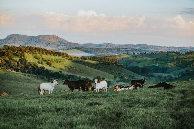 Prazo final: Imposto territorial rural