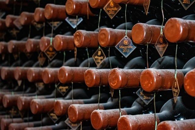 A paixão por vinhos veio de uma das viagens do casal a Gramado, na Serra Gaúcha, onde participaram de atividades de enoturismo e ampliaram o contato com o universo da bebida.