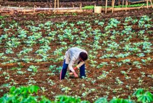 8º Congresso Brasileiro de Fertilizantes