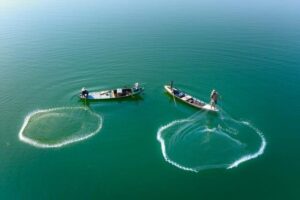 Pesca Sustentável