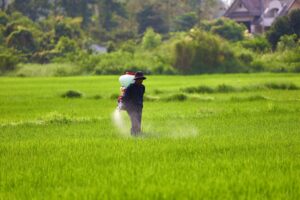 Fertilizantes no Agronegócio