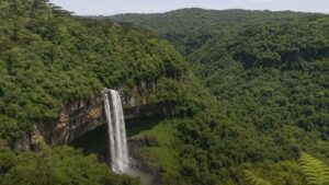Consórcio Novo Caracol na gestão dos parques Caracol e Tainhas