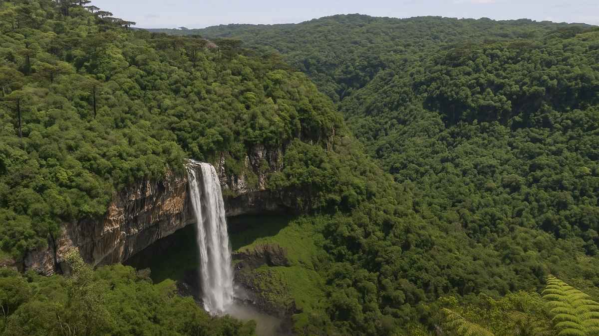 Consórcio Novo Caracol na gestão dos parques Caracol e Tainhas