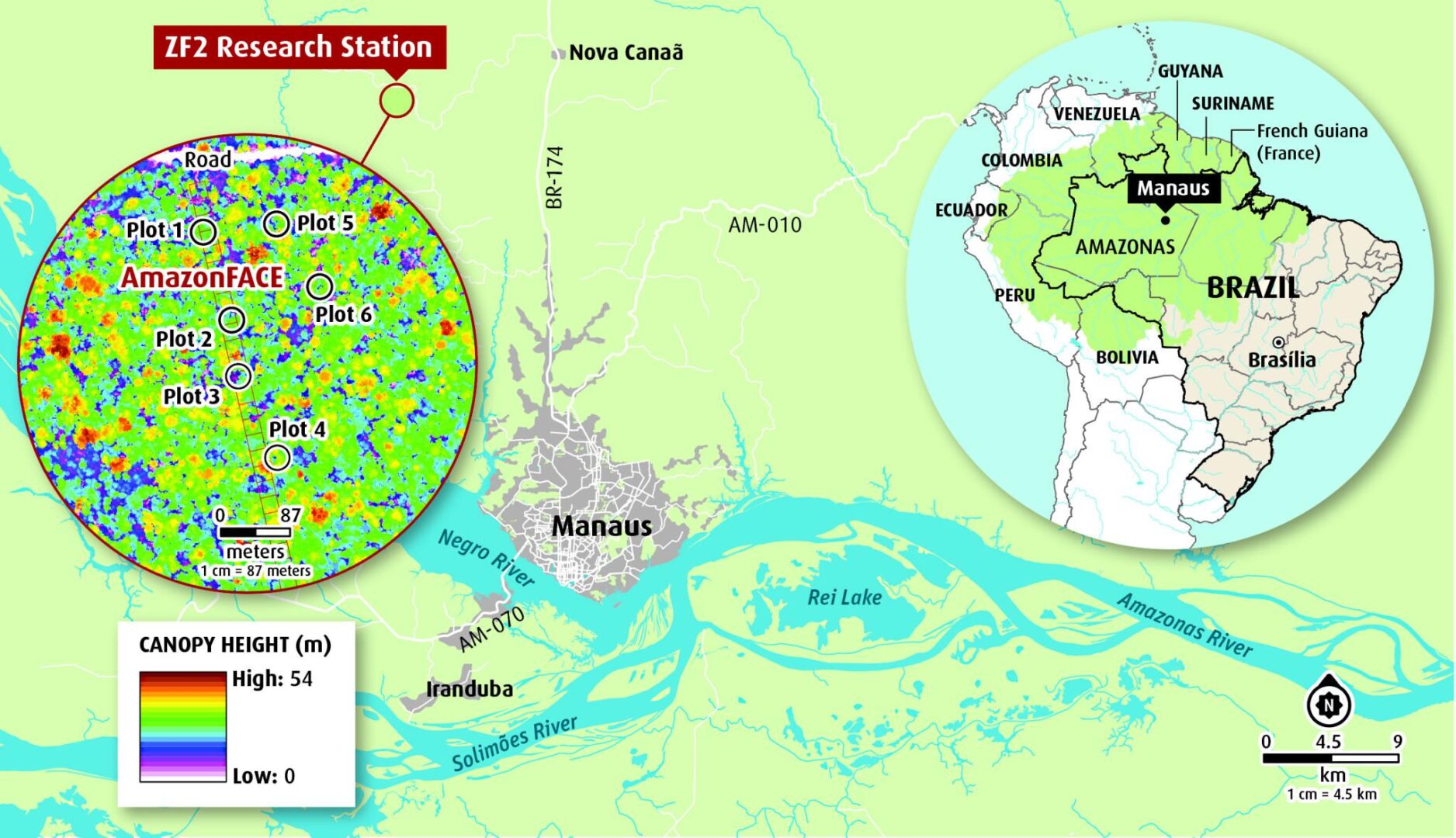 Projeto AmazonFACE na Amazônia recebe aportes do Brasil e Reino Unido.