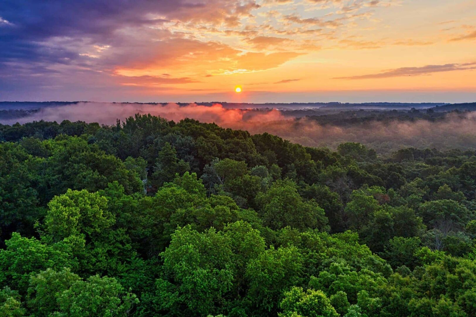 A Amazônia consolidou-se como o bioma com a maior área de pastagem no Brasil em 2022, superando o Cerrado pelo segundo ano consecutivo.