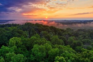 A Amazônia consolidou-se como o bioma com a maior área de pastagem no Brasil em 2022, superando o Cerrado pelo segundo ano consecutivo.