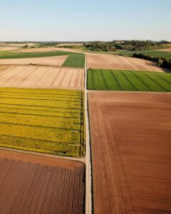 SLC Agrícola divulga resultados sólidos do 3T23