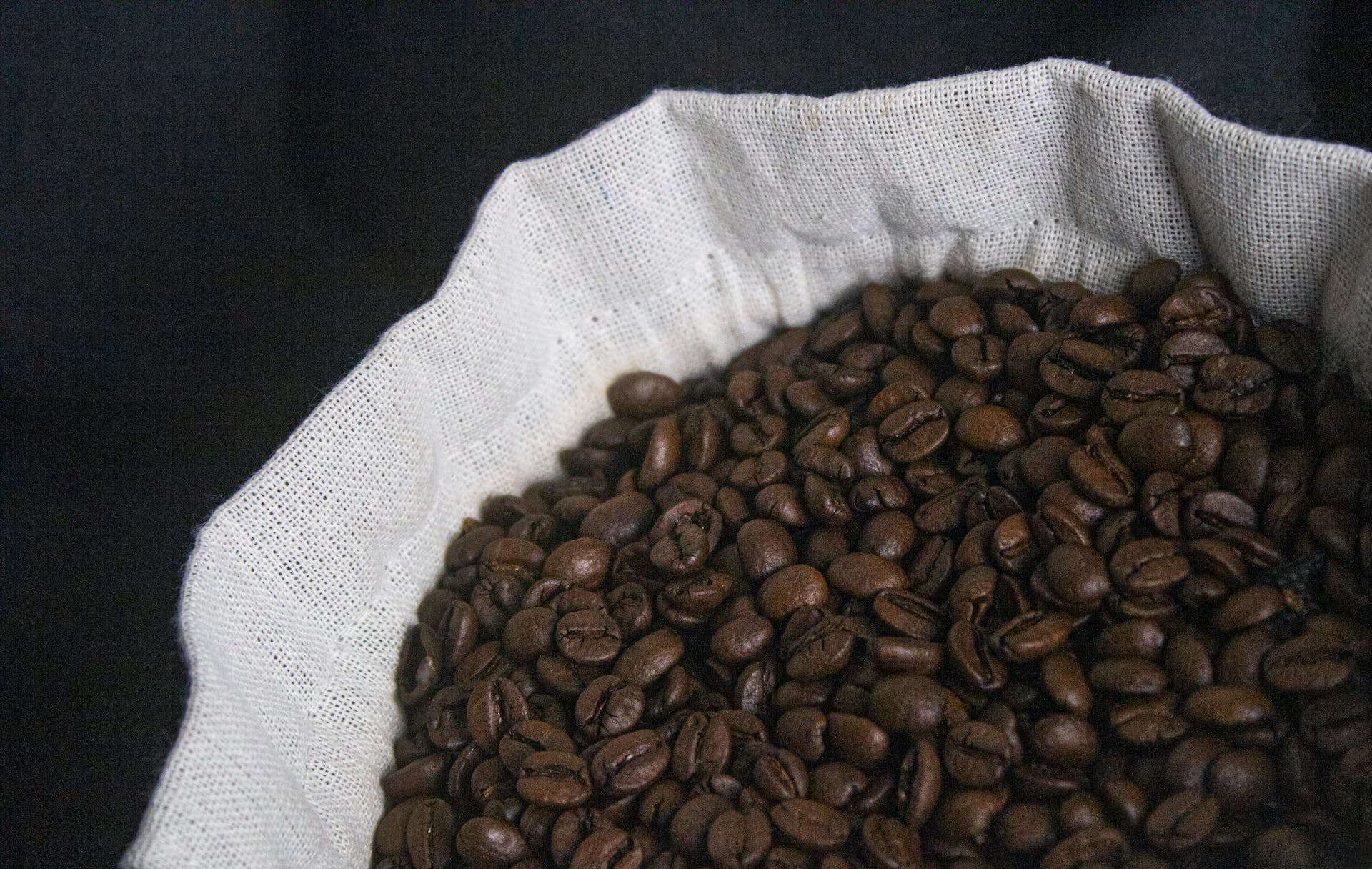 Café brasileiro: alta na produção de 2024