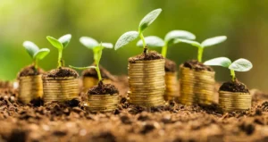 Câmara Aprova Regulamentação do Mercado de Carbono no Brasil
