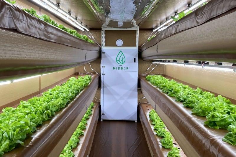 fazenda inflável para cultivo econômico