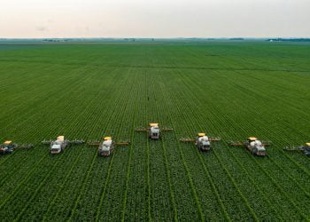 Forbes Agro100 revela os 10 líderes do agronegócio