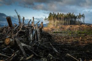Queda nas vendas de fundos climáticos impacta mercado