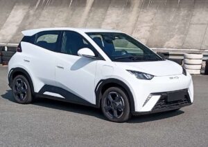 BYD Carmais elevou a marca como a sexta mais vendida no período no Ceará.