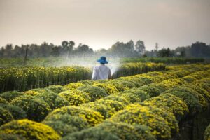 Fenômeno climático La Niña afeta bolsa no Brasil. (Foto: Quang Nguyen Vinh/Pexels)