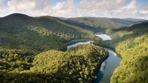 preservação ambiental