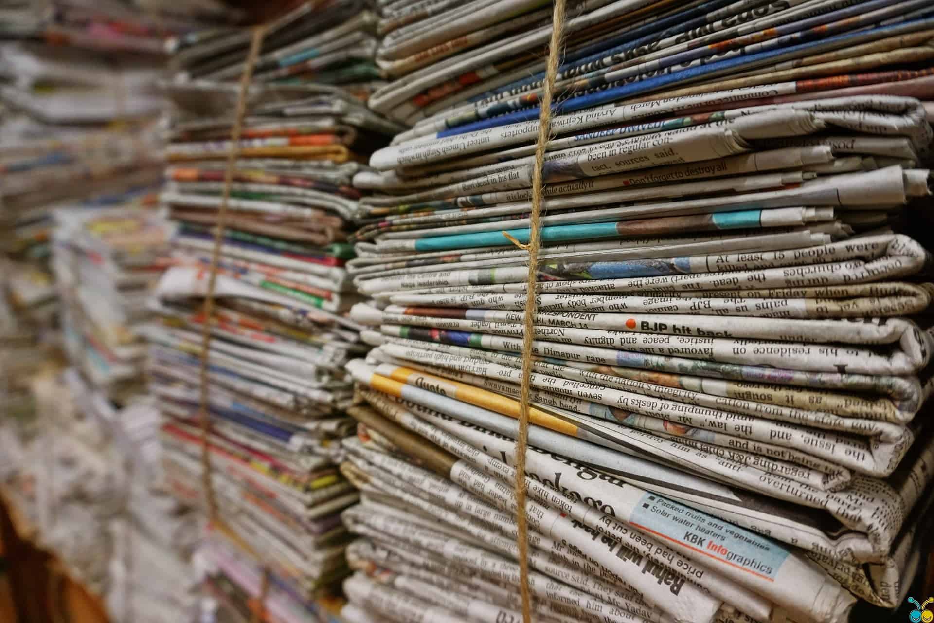 NewspaperWood revolução sustentável. (Foto: Pixabay/Pexels)