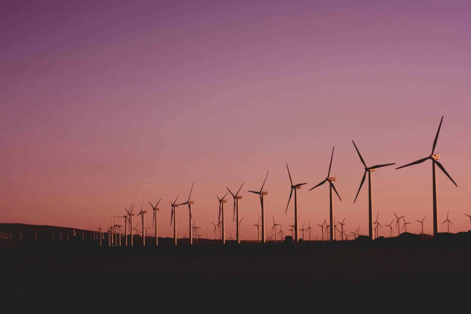 Novas 7 BR na lista global de sustentabilidade. (Foto: Narcisa Aciko/Pexels)