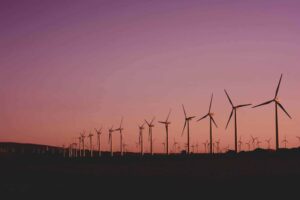 Novas 7 BR na lista global de sustentabilidade. (Foto: Narcisa Aciko/Pexels)
