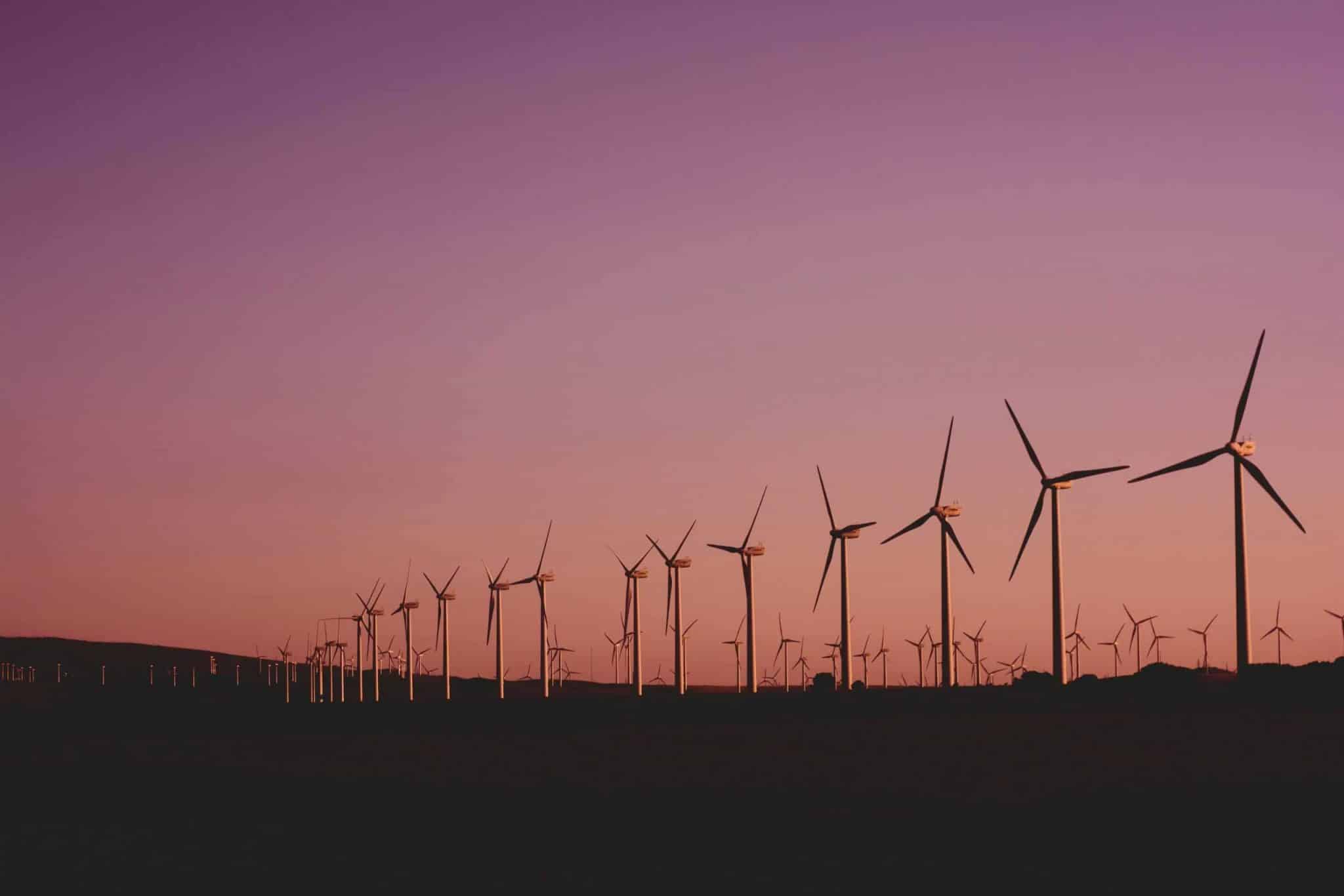 Novas 7 BR na lista global de sustentabilidade. (Foto: Narcisa Aciko/Pexels)