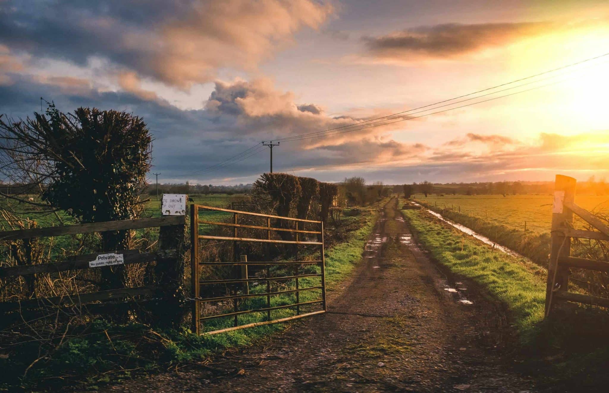 Reconhecimento a Práticas Rurais Sustentáveis. (Foto: Chanita Sykes/Pexels)