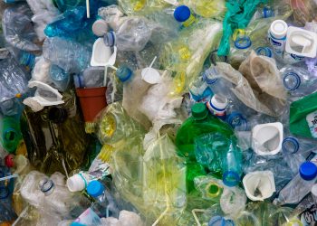 Solução contra poluição plástica. (Foto: Magda Ehlers/Pexels)