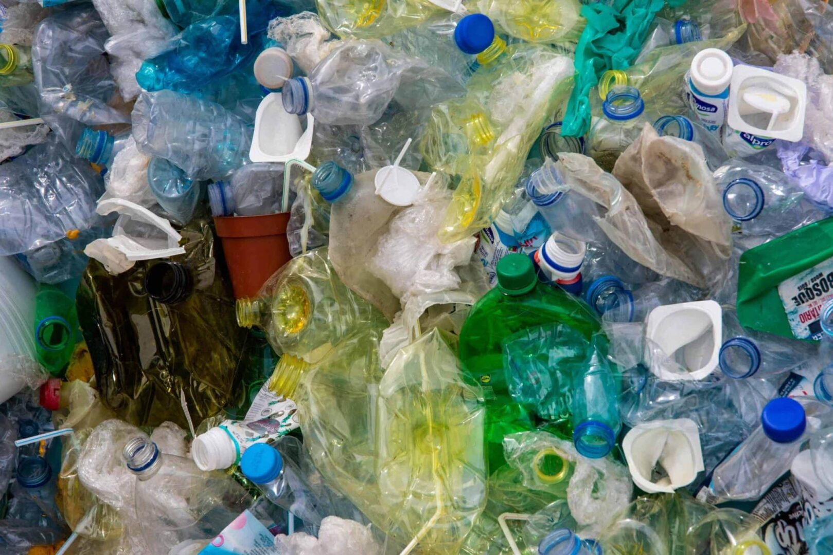 Solução contra poluição plástica. (Foto: Magda Ehlers/Pexels)
