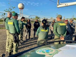 Paralização do Ibama afeta importação de veículos