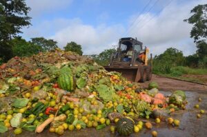 Brasil desperdiça alimentos
