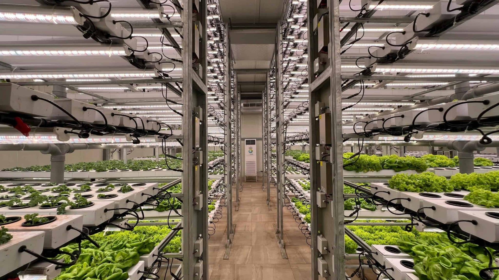 Inovações agro