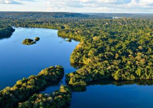 desmatamento na amazônia