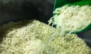Preço do arroz deve cair cerca de 20% nas próximas semanas