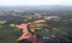 Técnica de DNA Revoluciona Reflorestamento em Brumadinho