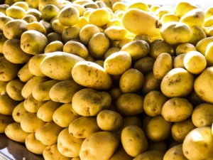 Alimentos - cesta básica