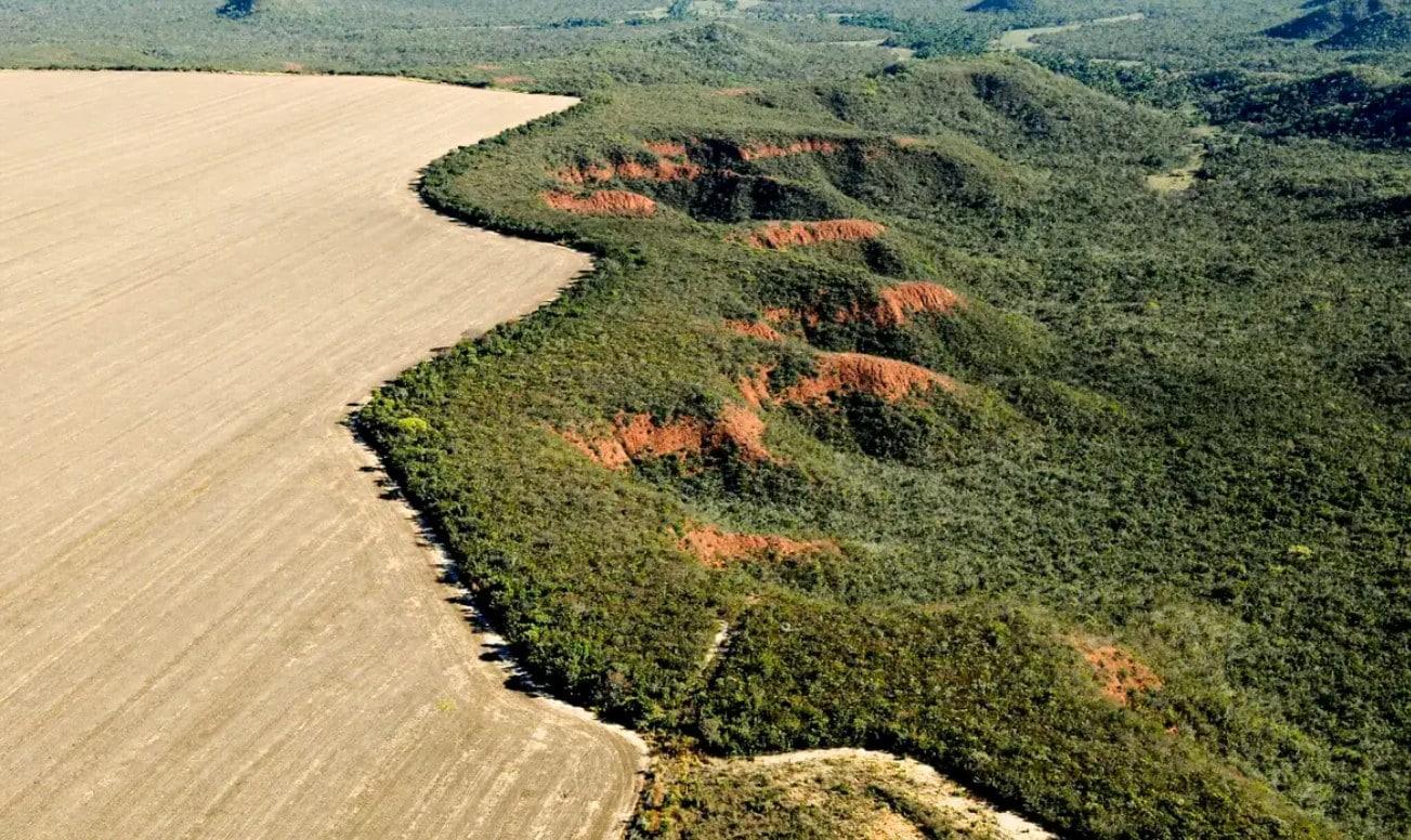 desmatamento no cerrado
