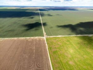 BrasilAgro concretiza venda de 12.335 hectares da Fazenda Chaparral em Correntina, Bahia, por R$ 364,5 milhões.