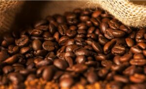 exportação café vietnã