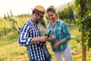 Rota dos Vinhos no Nordeste