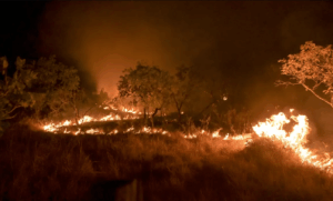 incêndio na Amazônia