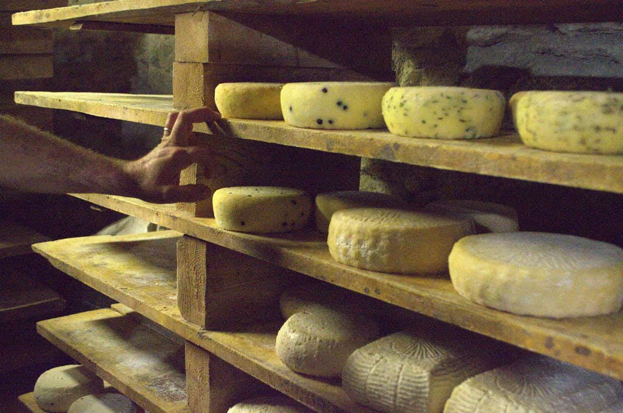 Certificação de queijos no Ceará. (Foto: Fondazione Contrada/Pexels)