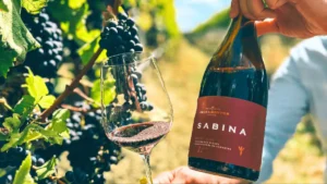 Confira os 26 melhores vinhos tintos do Brasil, segundo guia de renome
