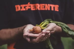 Descubra como a parceria entre AGRO M2T e Diferente transformou a comercialização de vegetais "feios", promovendo um impacto sustentável.