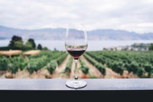 Produção global de vinhos registra queda histórica. (Foto: Kym Ellis/Unsplash)