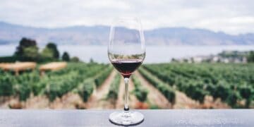Produção global de vinhos registra queda histórica. (Foto: Kym Ellis/Unsplash)